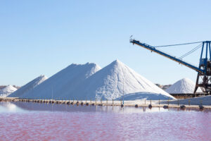 Salt Imports Expands Pool Salt Supply Network as Saltwater Pool Adoption Grows